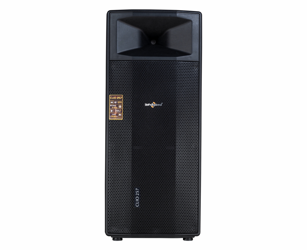 STUDIOMASTER CLIO 257